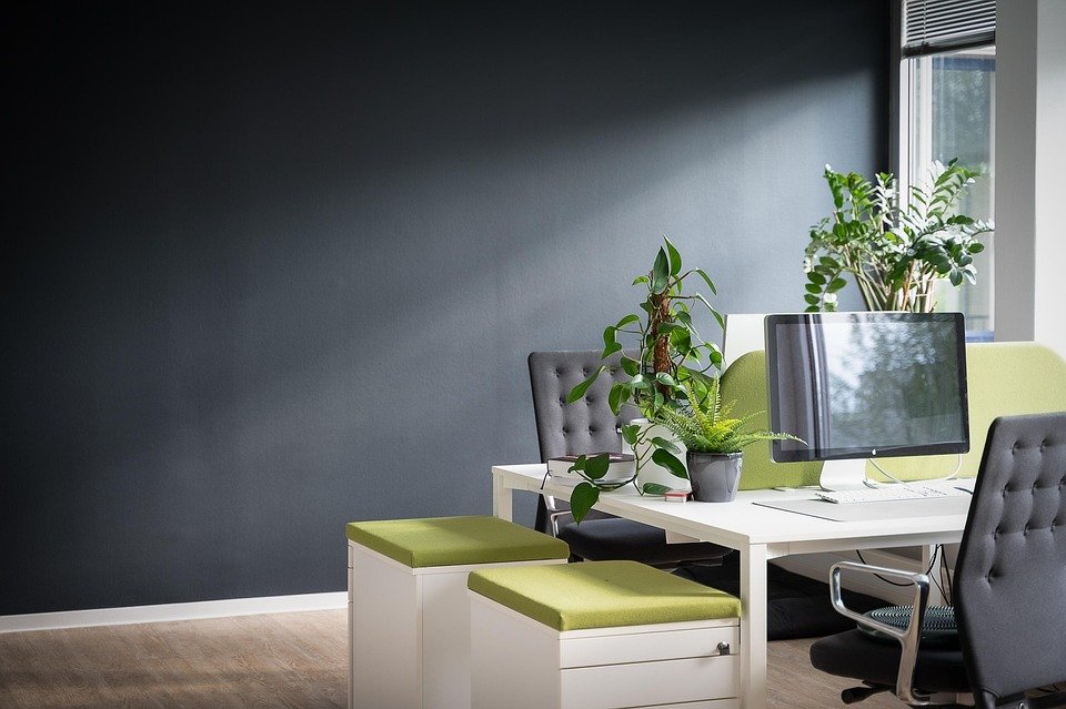 Maximize Your Team's Potential: Top Project Management Software for Creative Professionals