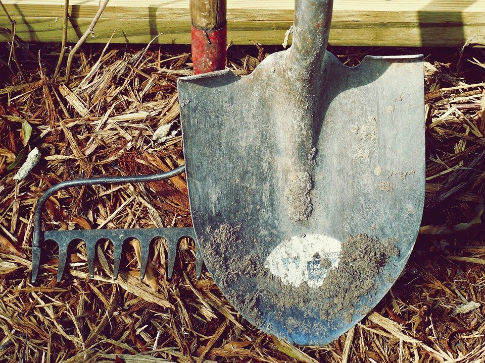 From Chaos to Clarity: How Project Management Tools Enhance Productivity